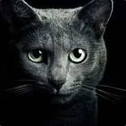 棋王和他的儿子们