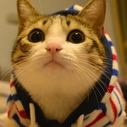 若惜和声万奏鸣