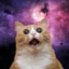 CosmicCat