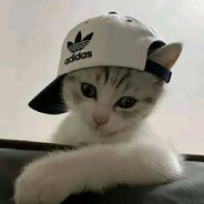 𝒟𝓋𝓏