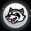 FullMoonRaccoon