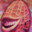 vixon1 avatar