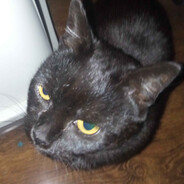 Maciej Jądrowstrząs