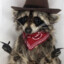 yeehawlols