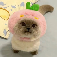 EsDeeKidfan - steam id 76561199806063311