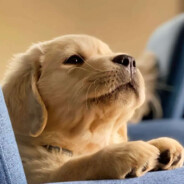 嗜血狂魔无敌ji