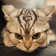 llama - steam id 76561197965599811