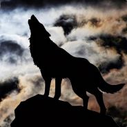 EchoedWolf