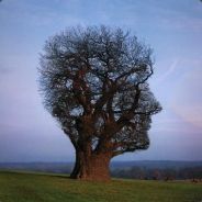 oufmann - steam id 76561197971058536