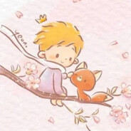 全险车队-饭团同学