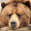 HeatBear