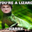 UaLizardHarry