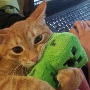 Mrs.Бездельница