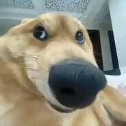 别卡我啊哥们er