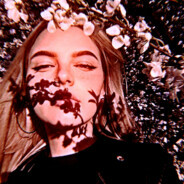 升不上本的范sir