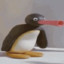 Pingu