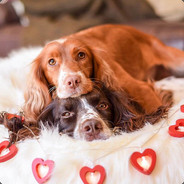 我棋童伟先胡为敬