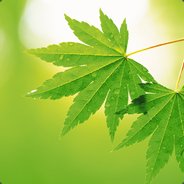 少林寺驻武当山办事处大神父王喇嘛