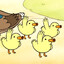 A bunch of baby ducks