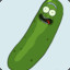 Pickle Riiiick