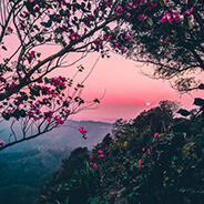 𝐅𝐥𝐚𝐫𝐞𝐙𝐨𝐧