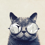 只与同好赏风雅