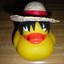 Pato12