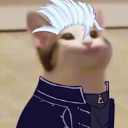 VergilCat avatar