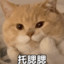 浮殇