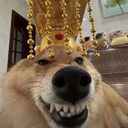 无敌战神霸王龙