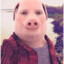 John Pork