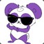 Purple Panda