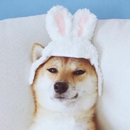 再也不用等我了