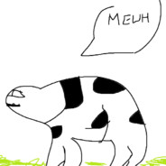 123
