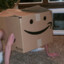 Boxdude