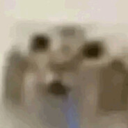 Kokot skins.army