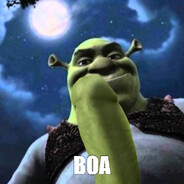 BOA
