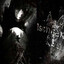 Avatar of player 2/1 no sleep