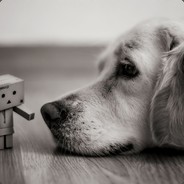 姑娘只爱橄榄绿。