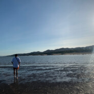 吃饱喝足去曰批