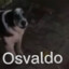 Osvaldo