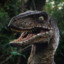 VELOCIRRÁPTOR