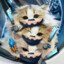 pooowwF