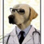 Dr. Dogtor