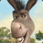 Donkey