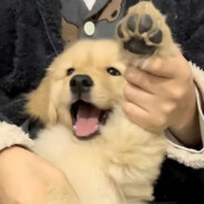 人活着就是为了伽摩