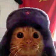 如烟花般绚烂短暂