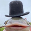 ✪ Cowboy Fish ®