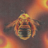 leptera