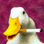 Ducksen